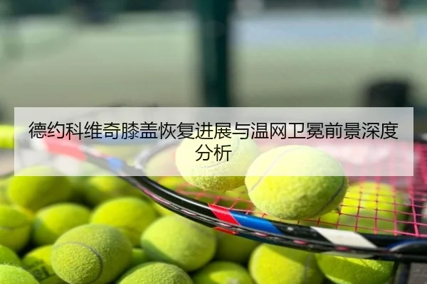 德约科维奇膝盖恢复进展与温网卫冕前景深度分析